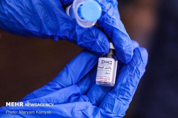 12 واکسن کرونای ایرانی متقاضی اخذ مجوز از سازمان غذا و دارو