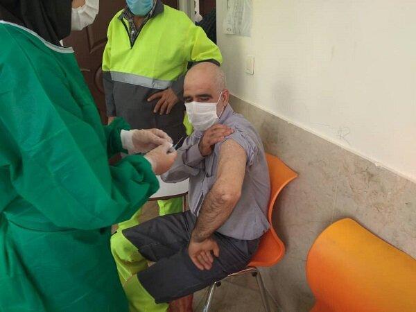 واکسیناسیون پاکبانان جنوب تهران آغاز شد