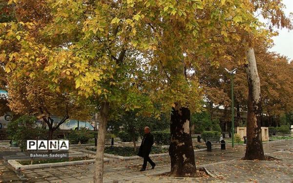 16 استان در آخرین روز پاییز بارانی هستند