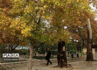 16 استان در آخرین روز پاییز بارانی هستند