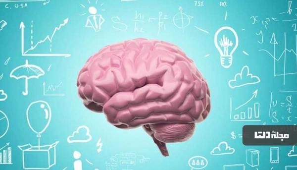 با 6 حقیقت جالب درباره مغز آشنا شوید