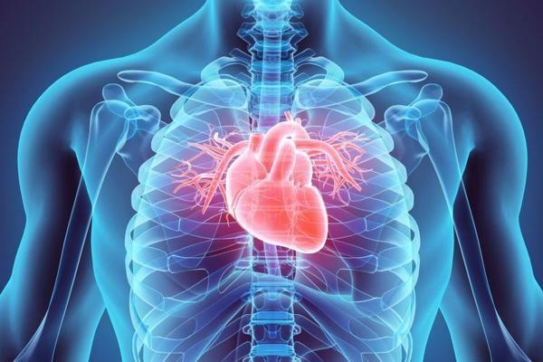 افزایش موارد نارسایی قلبی مرتبط با متامفتامین در سراسر دنیا