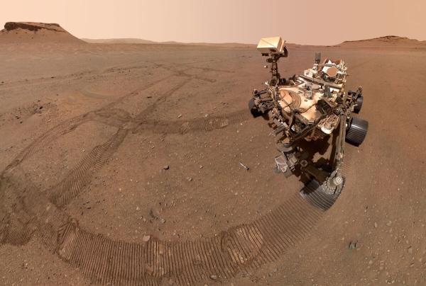 در مریخ آووکادو پیدا شد، شگفتی نو سیاره سرخ